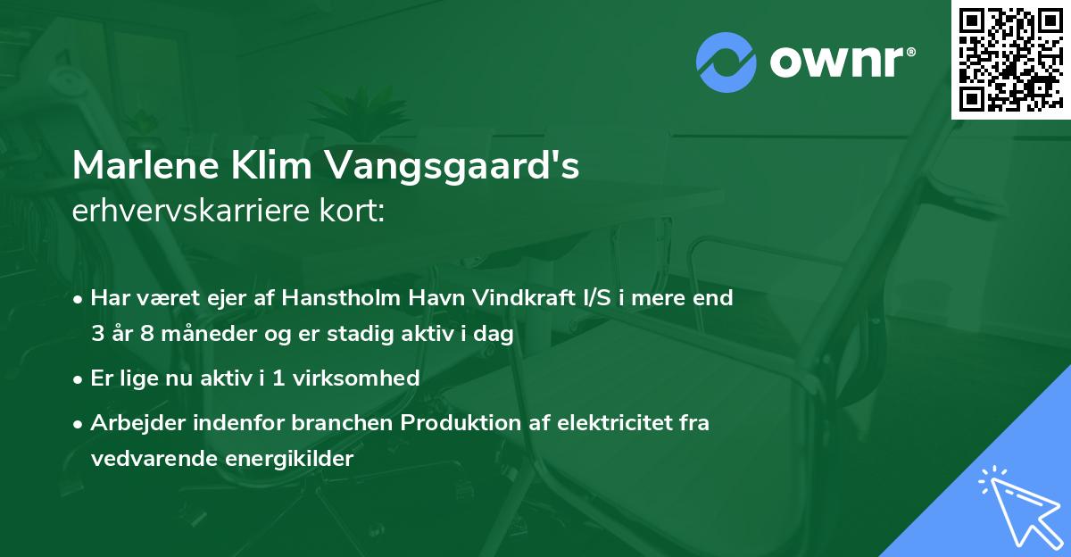 Marlene Klim Vangsgaard's erhvervskarriere kort