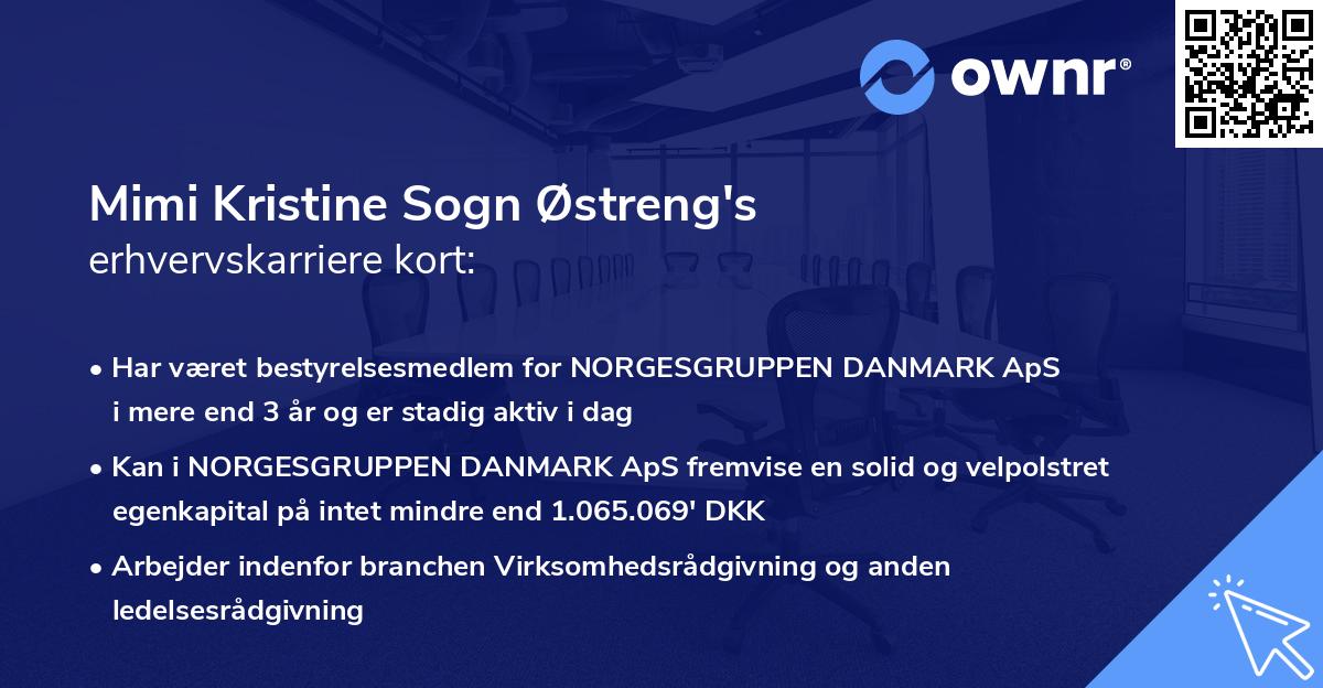 Mimi Kristine Sogn Østreng's erhvervskarriere kort