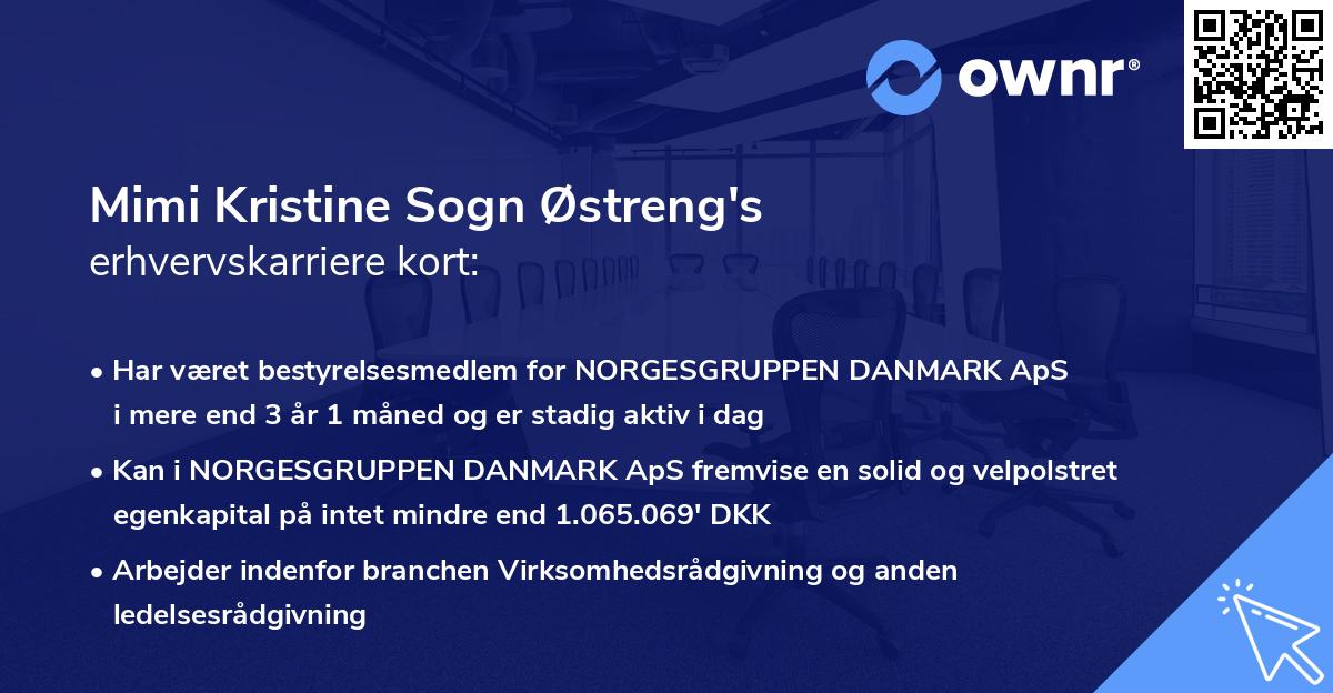 Mimi Kristine Sogn Østreng's erhvervskarriere kort