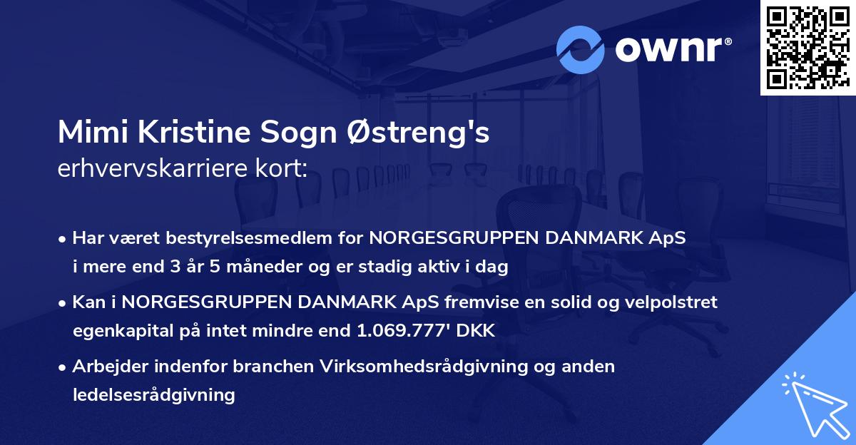 Mimi Kristine Sogn Østreng's erhvervskarriere kort