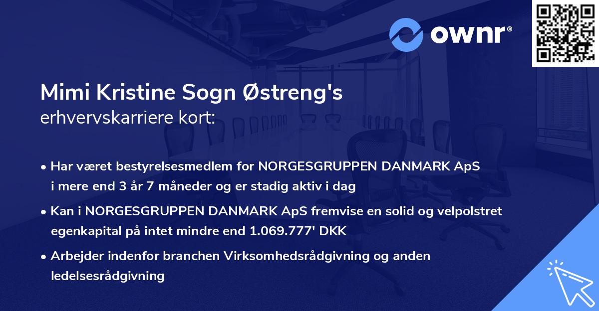 Mimi Kristine Sogn Østreng's erhvervskarriere kort