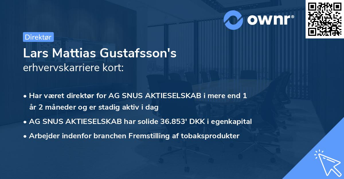 Lars Mattias Gustafsson's erhvervskarriere kort