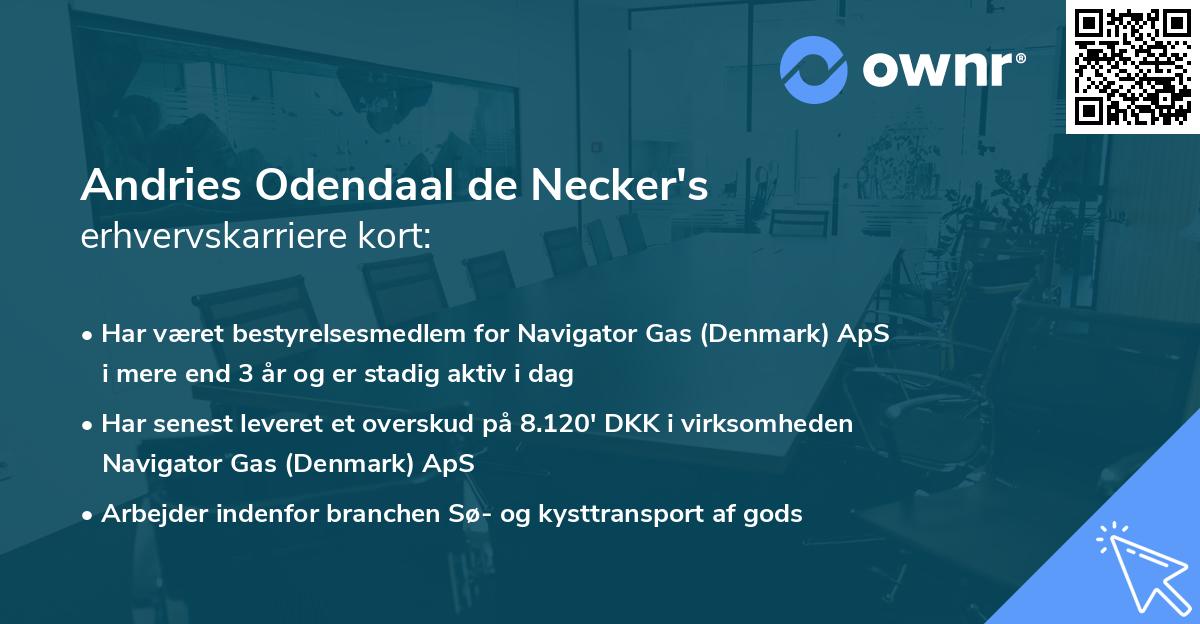 Andries Odendaal de Necker's erhvervskarriere kort