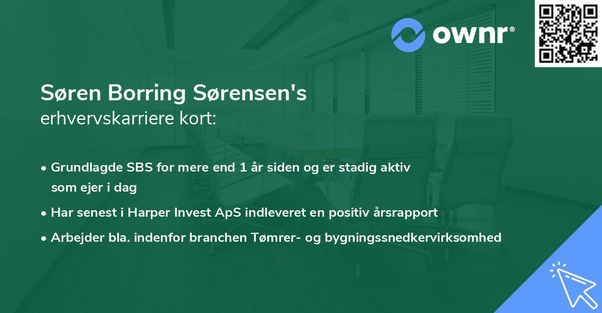 Søren Borring Sørensen's erhvervskarriere kort