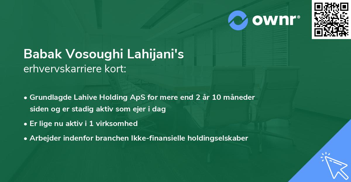 Babak Vosoughi Lahijani's erhvervskarriere kort