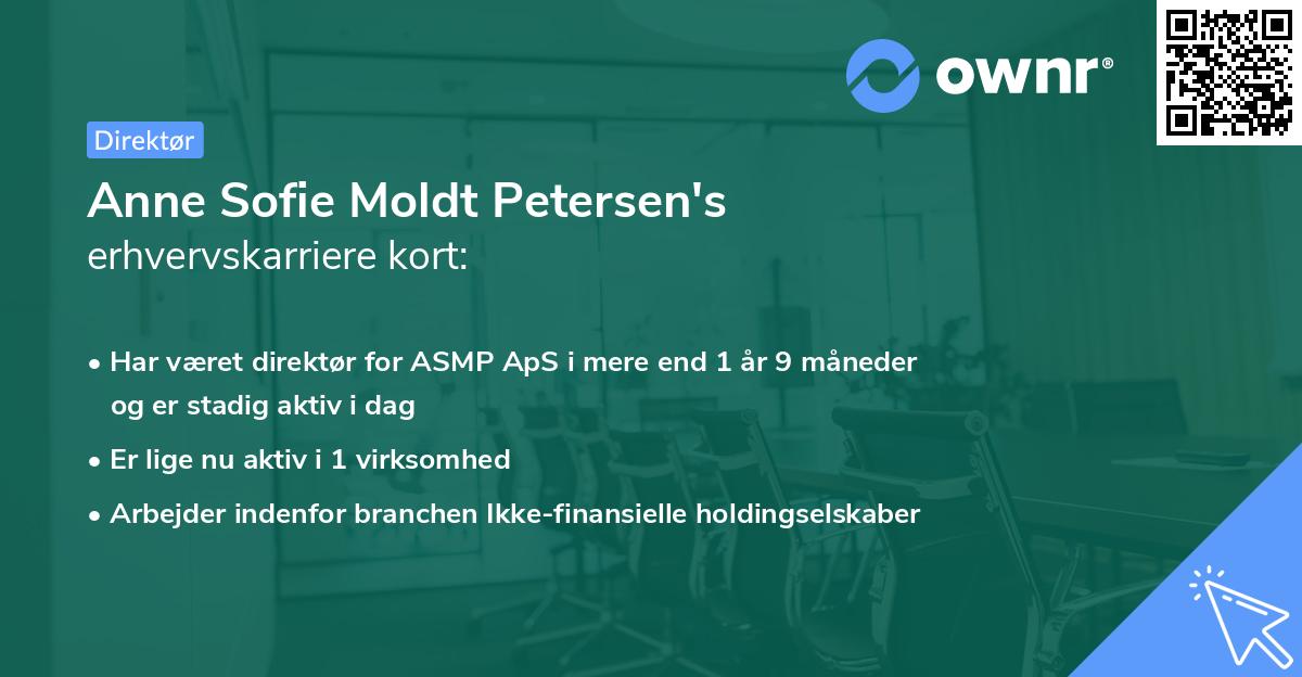 Anne Sofie Moldt Petersen's erhvervskarriere kort