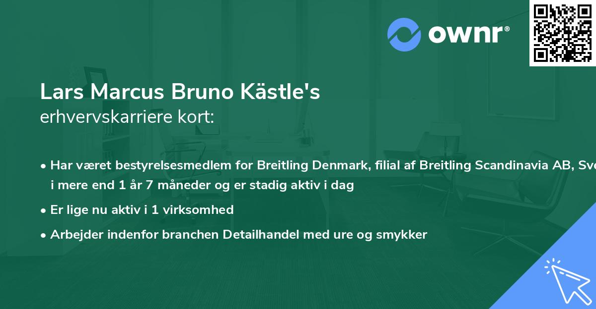 Lars Marcus Bruno Kästle's erhvervskarriere kort