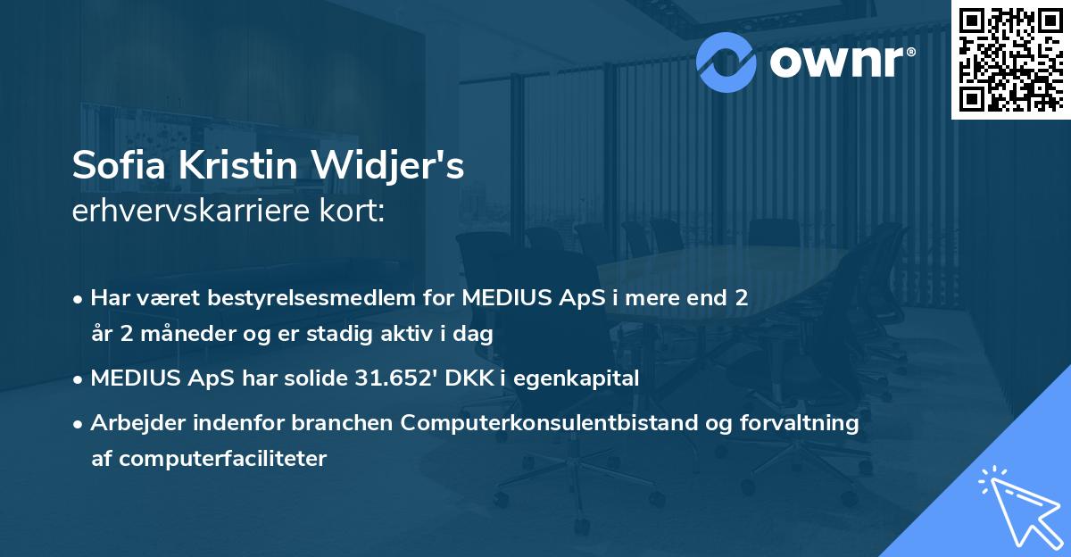 Sofia Kristin Widjer's erhvervskarriere kort