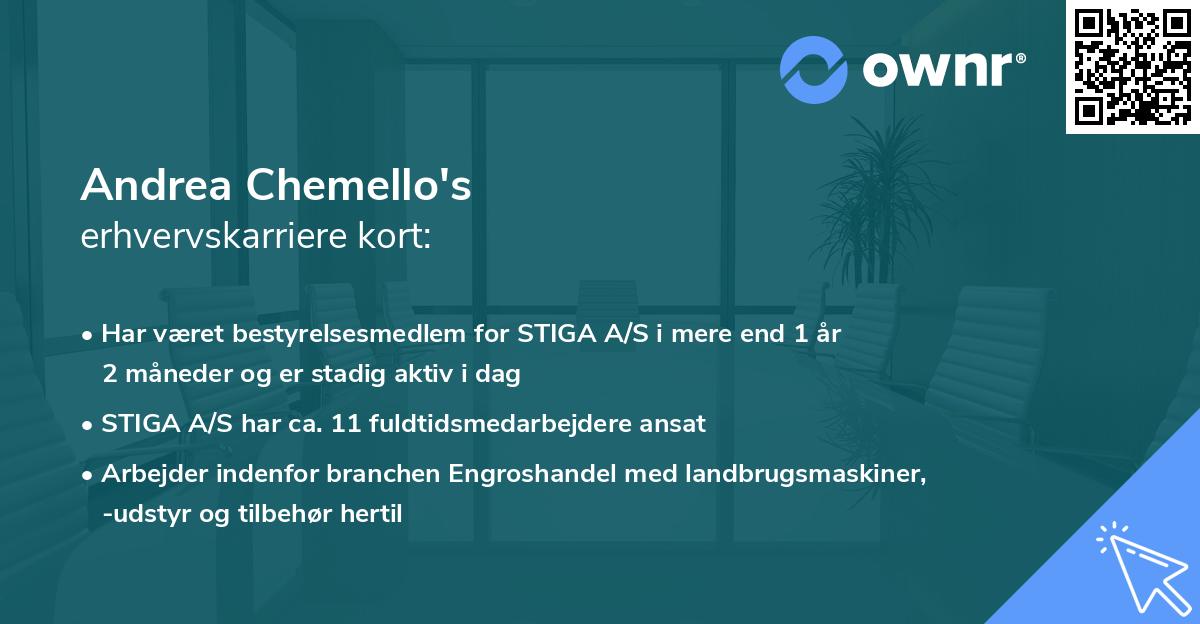 Andrea Chemello's erhvervskarriere kort