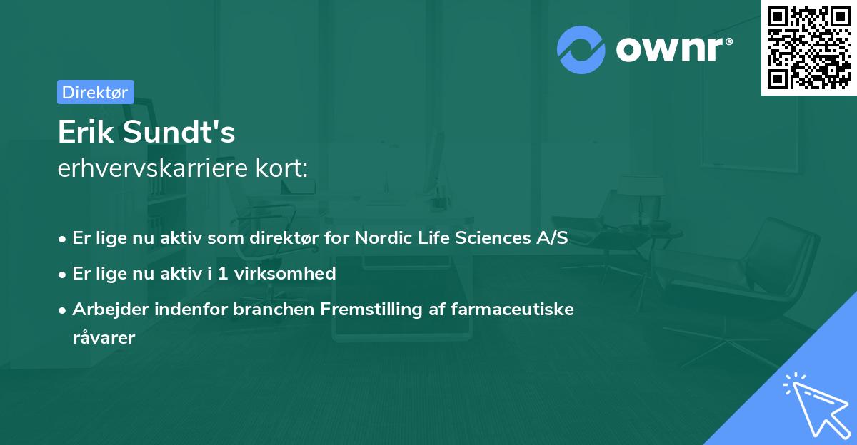 Erik Sundt's erhvervskarriere kort