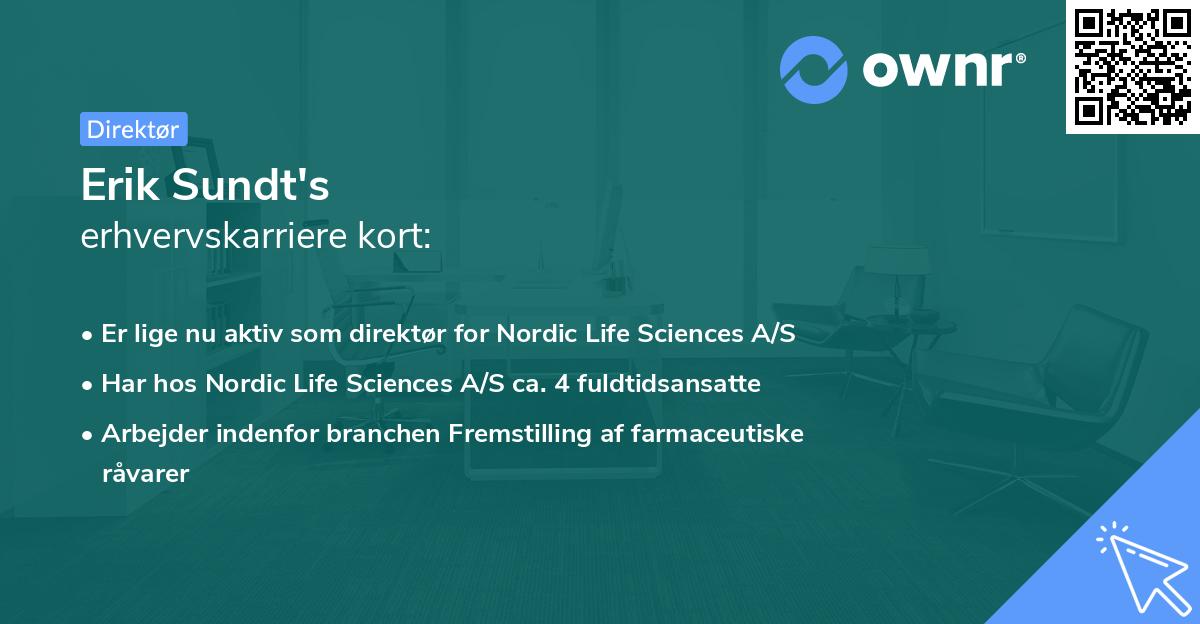 Erik Sundt's erhvervskarriere kort