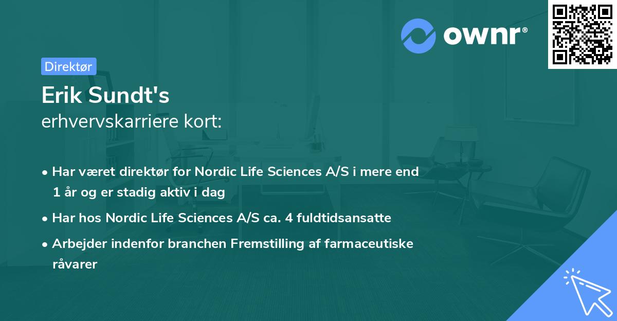 Erik Sundt's erhvervskarriere kort