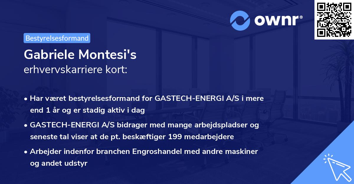 Gabriele Montesi's erhvervskarriere kort