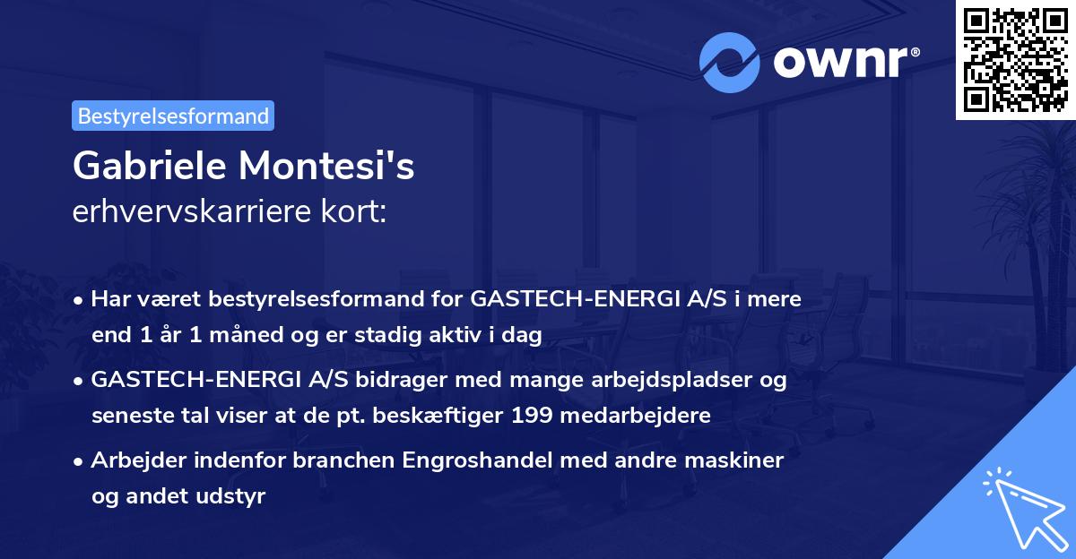 Gabriele Montesi's erhvervskarriere kort