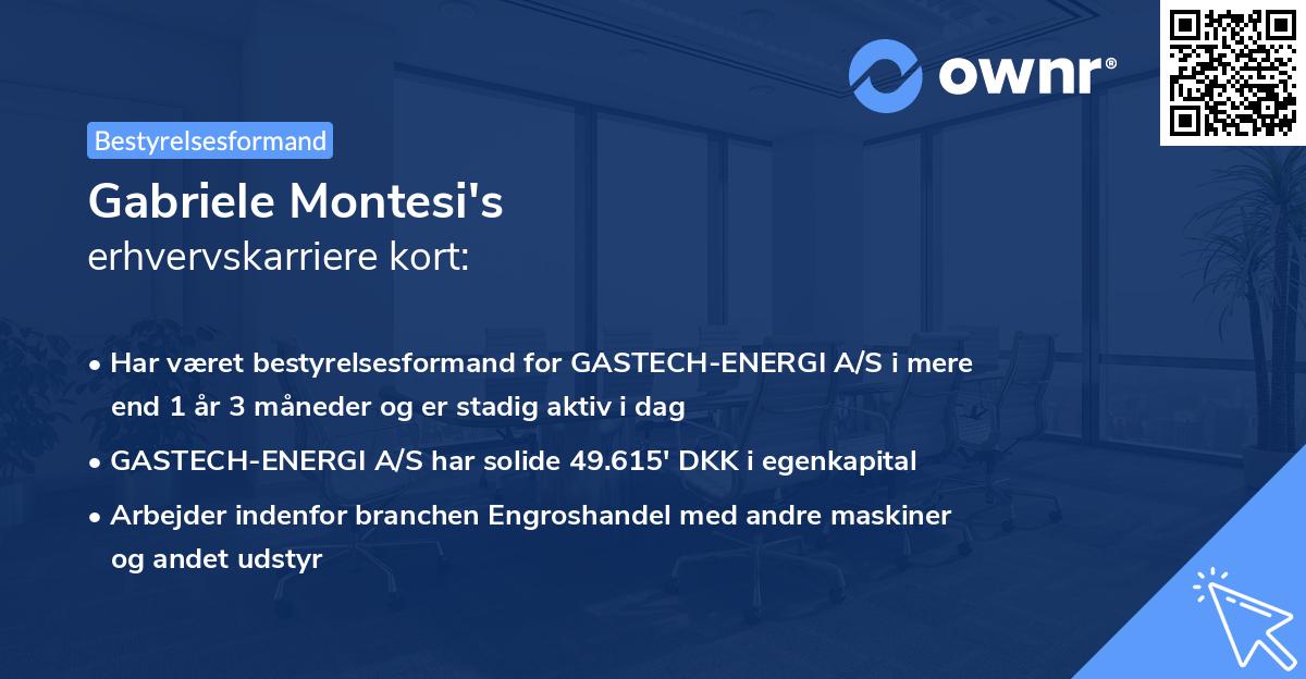 Gabriele Montesi's erhvervskarriere kort