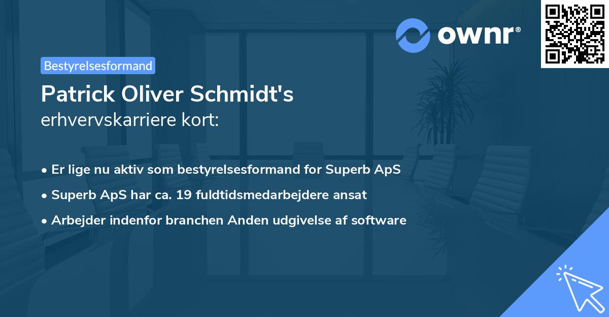 Patrick Oliver Schmidt's erhvervskarriere kort