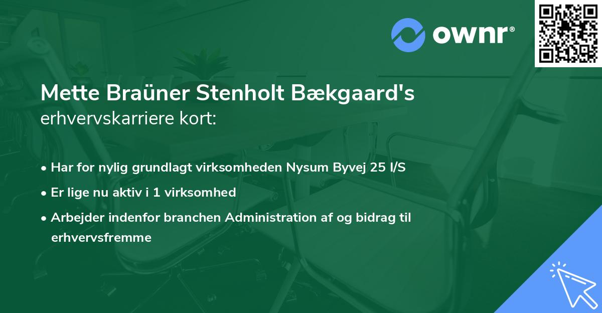 Mette Braüner Stenholt Bækgaard's erhvervskarriere kort