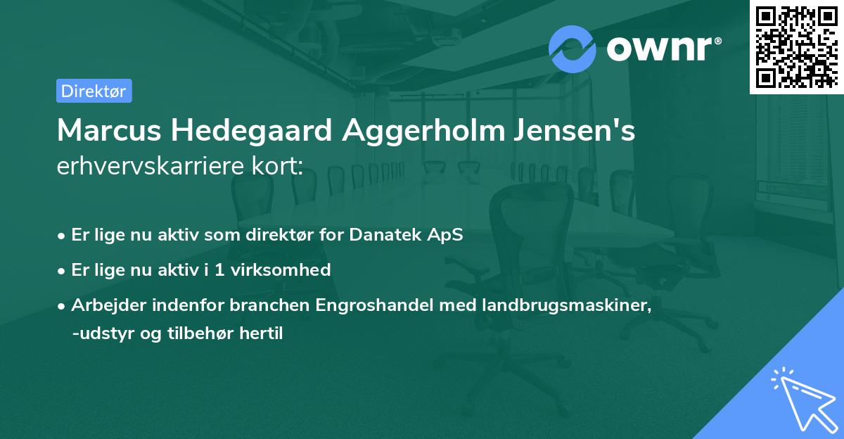 Marcus Hedegaard Aggerholm Jensen's erhvervskarriere kort