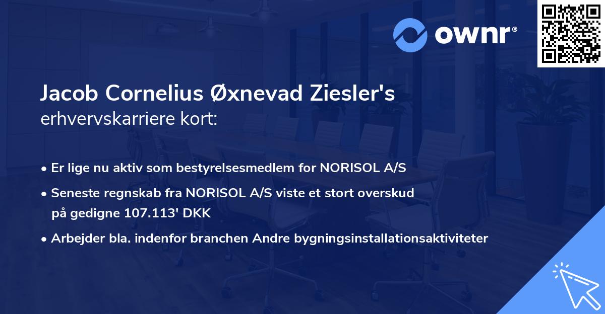 Jacob Cornelius Øxnevad Ziesler's erhvervskarriere kort