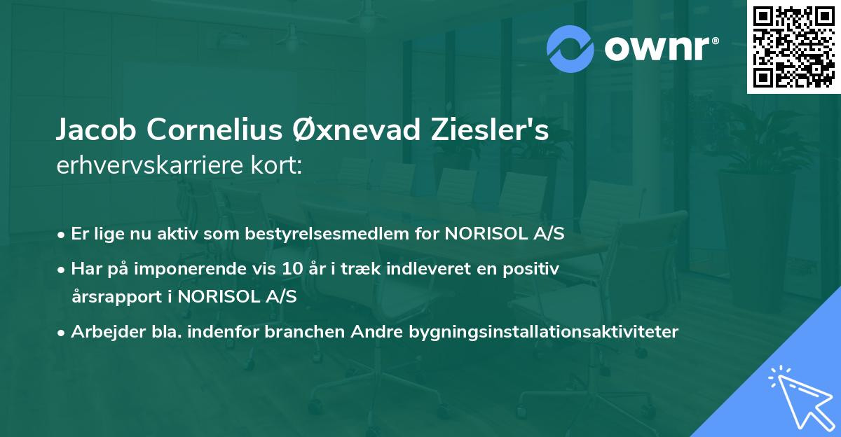 Jacob Cornelius Øxnevad Ziesler's erhvervskarriere kort