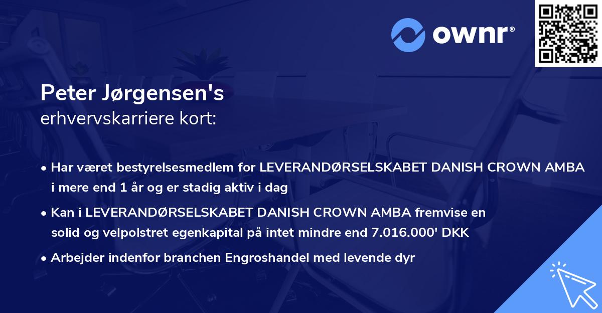 Peter Jørgensen's erhvervskarriere kort
