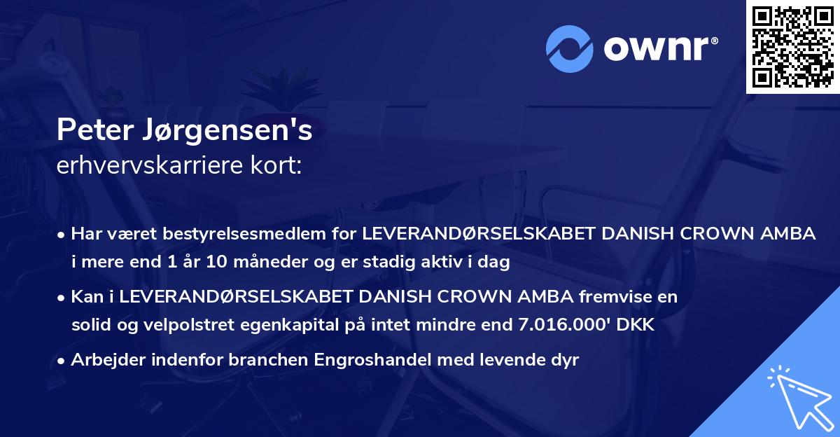 Peter Jørgensen's erhvervskarriere kort