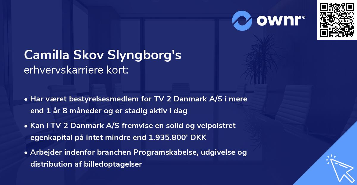 Camilla Skov Slyngborg's erhvervskarriere kort