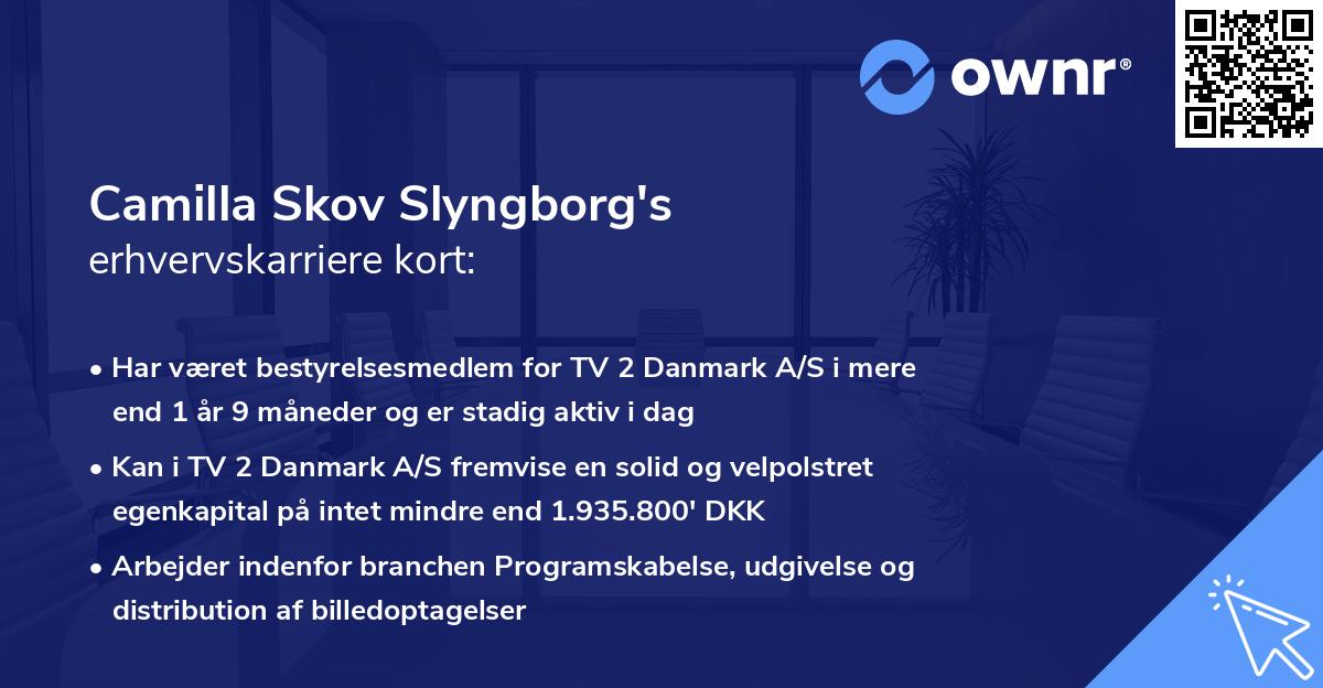 Camilla Skov Slyngborg's erhvervskarriere kort