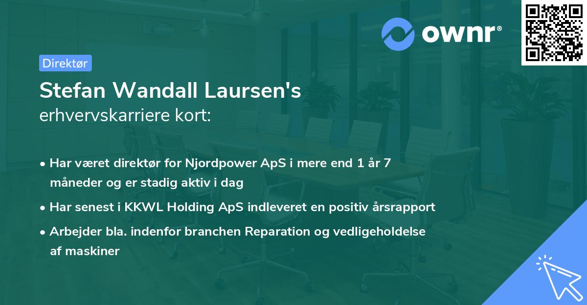 Stefan Wandall Laursen's erhvervskarriere kort