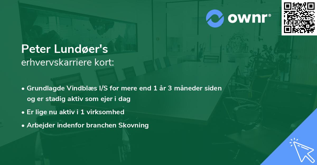 Peter Lundøer's erhvervskarriere kort