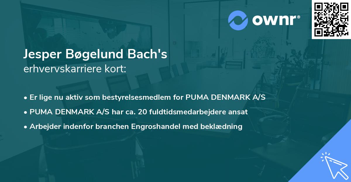 Jesper Bøgelund Bach's erhvervskarriere kort
