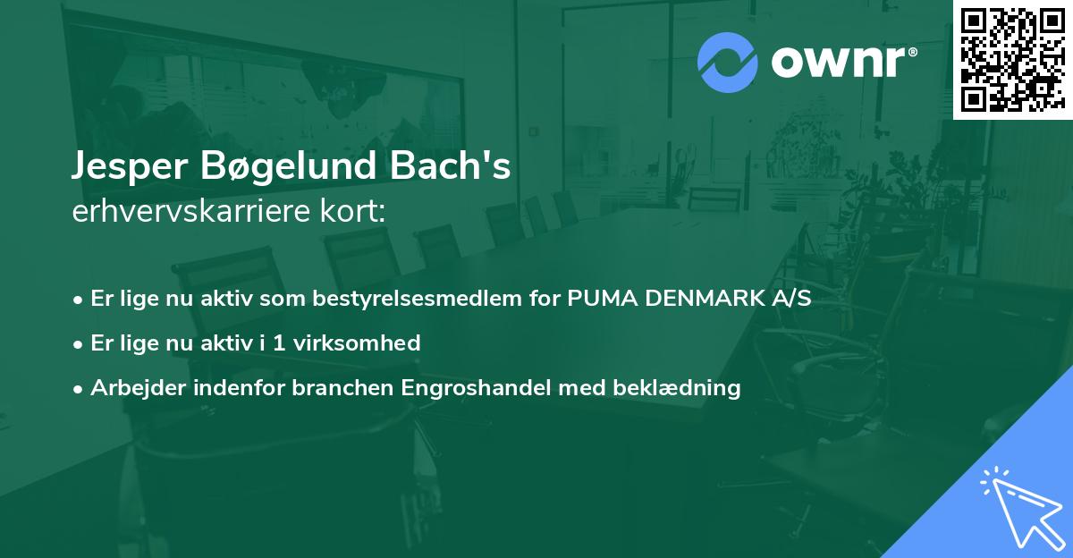 Jesper Bøgelund Bach's erhvervskarriere kort