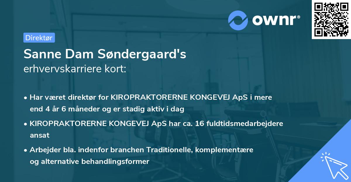 Sanne Dam Søndergaard's erhvervskarriere kort