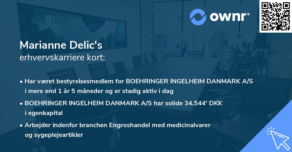 Marianne Delic's erhvervskarriere kort