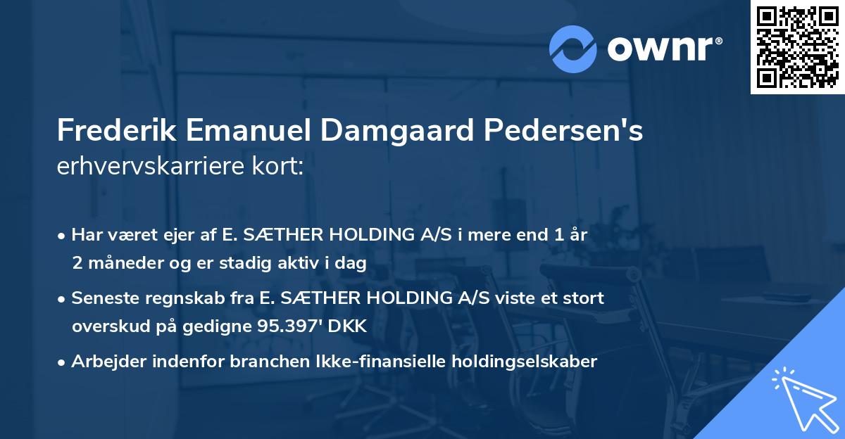 Frederik Emanuel Damgaard Pedersen's erhvervskarriere kort