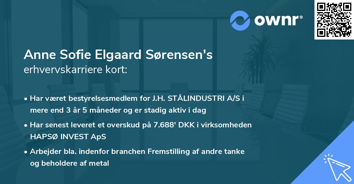 Anne Sofie Elgaard Sørensen's erhvervskarriere kort