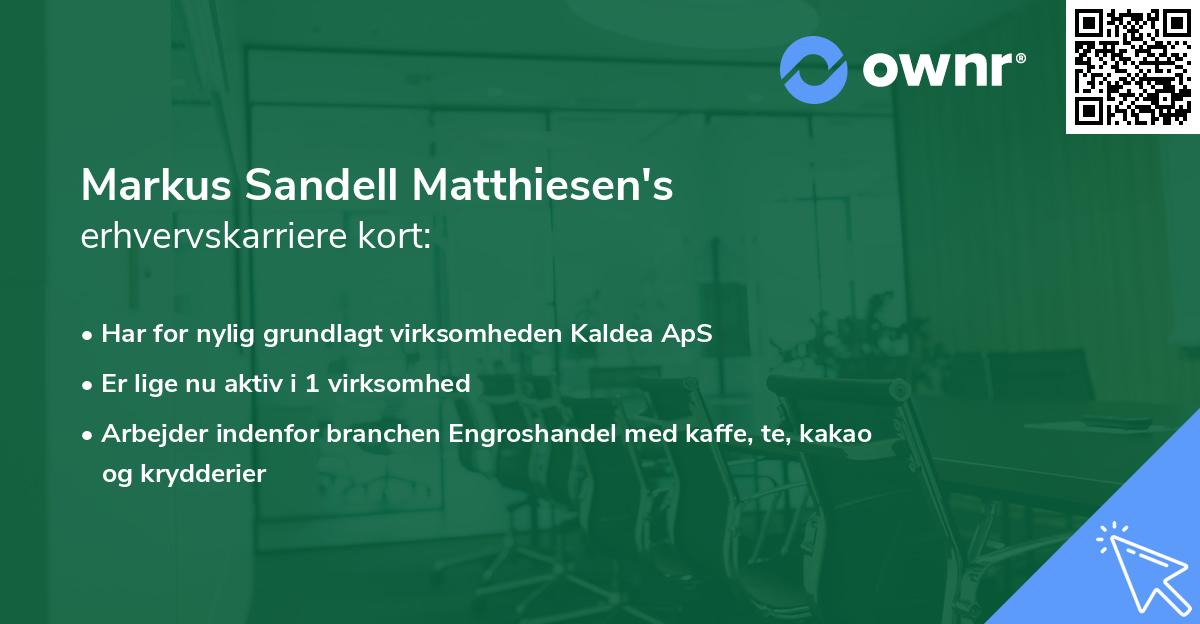 Markus Sandell Matthiesen's erhvervskarriere kort