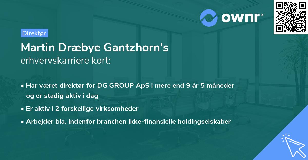 Martin Dræbye Gantzhorn's erhvervskarriere kort