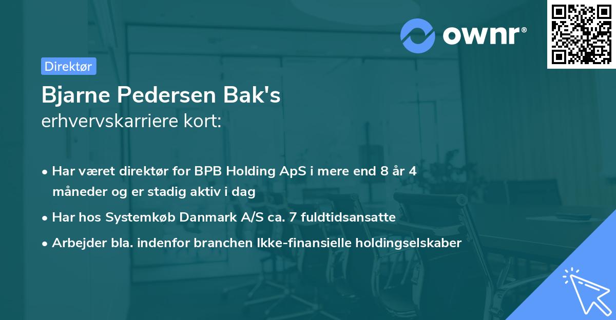 Bjarne Pedersen Bak's erhvervskarriere kort