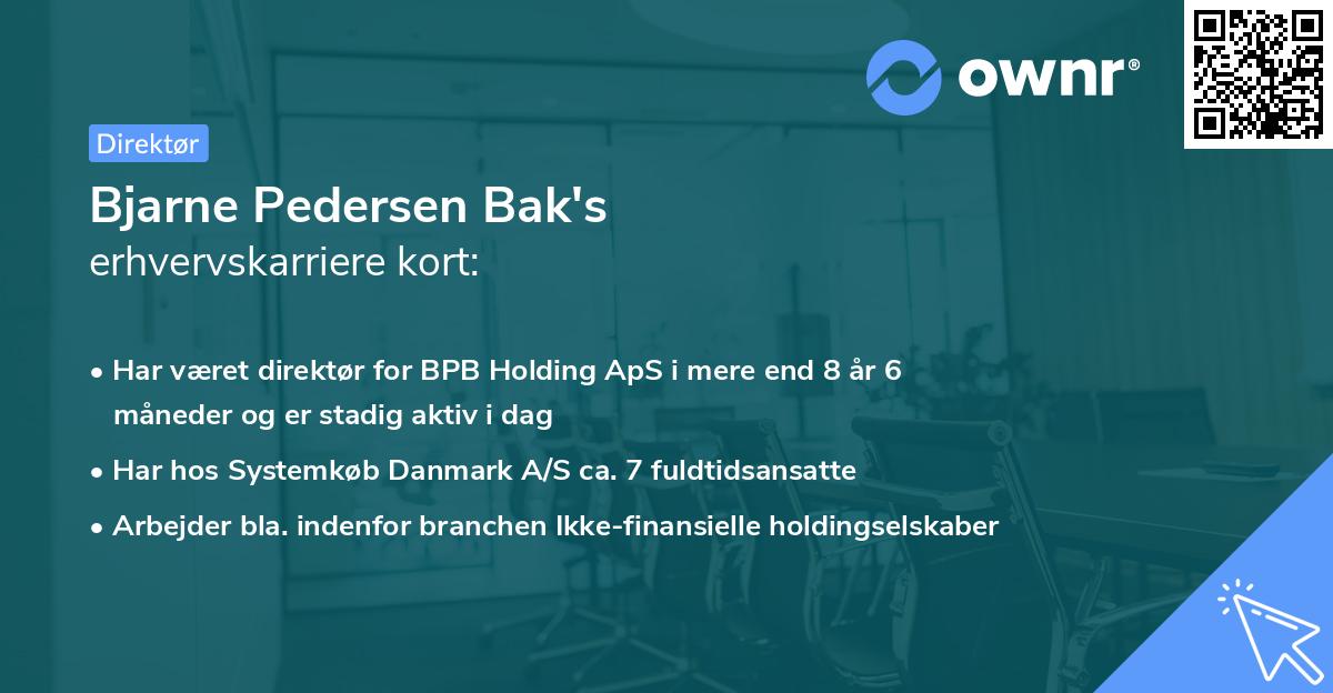 Bjarne Pedersen Bak's erhvervskarriere kort