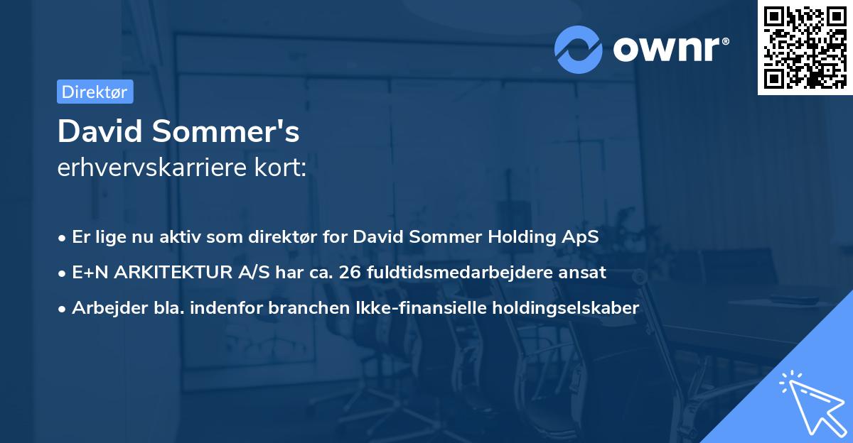 David Sommer's erhvervskarriere kort