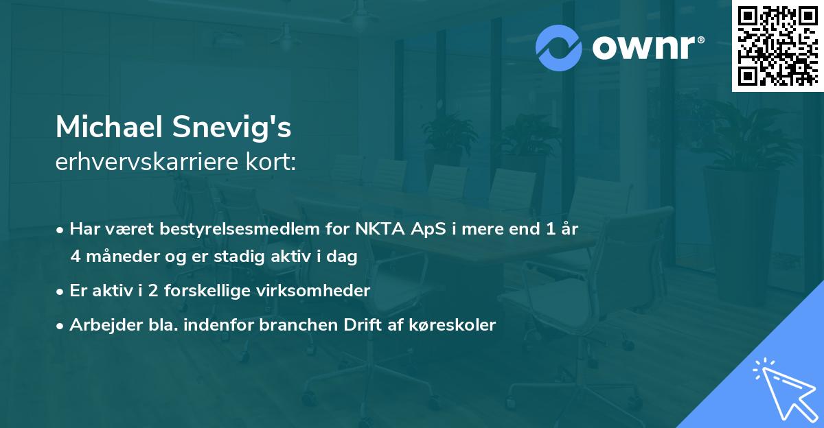 Michael Snevig's erhvervskarriere kort