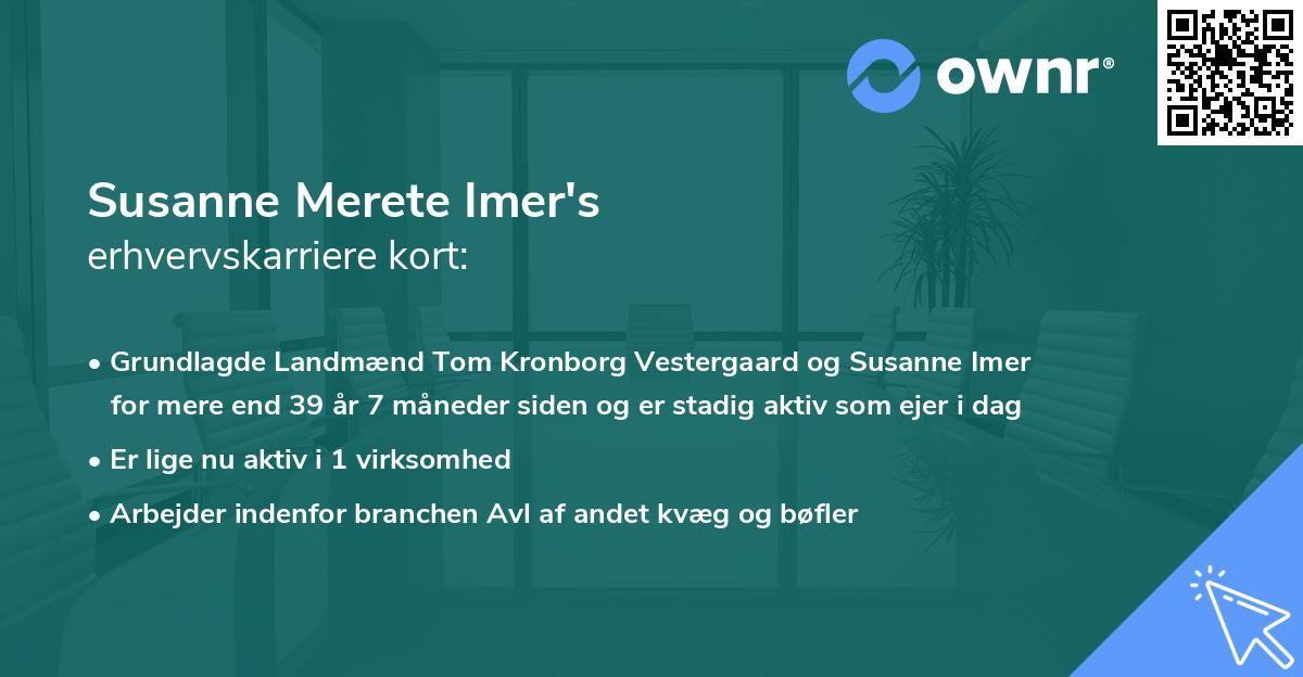 Susanne Merete Imer's erhvervskarriere kort