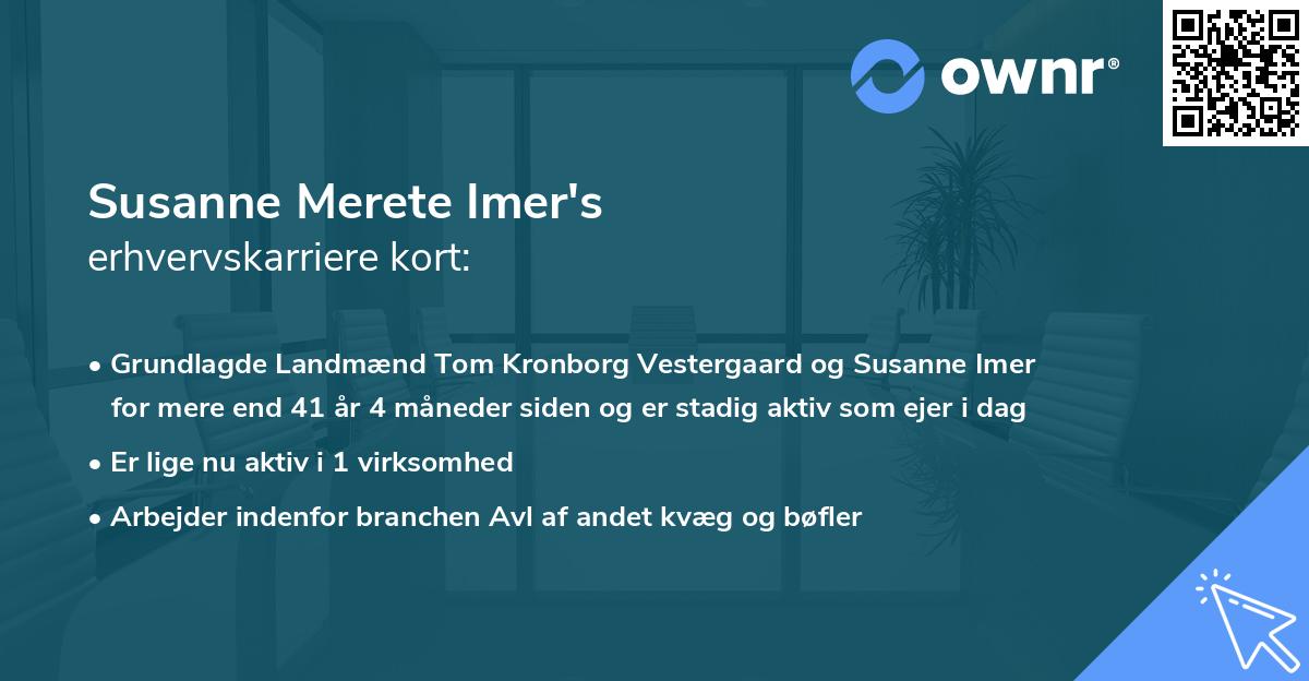 Susanne Merete Imer's erhvervskarriere kort