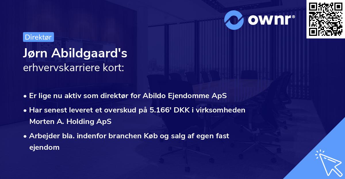 Jørn Abildgaard's erhvervskarriere kort