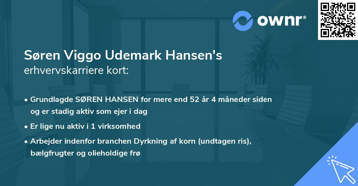 Søren Viggo Udemark Hansen's erhvervskarriere kort