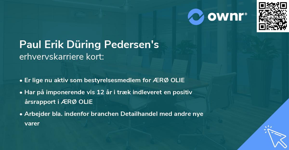 Paul Erik Düring Pedersen's erhvervskarriere kort