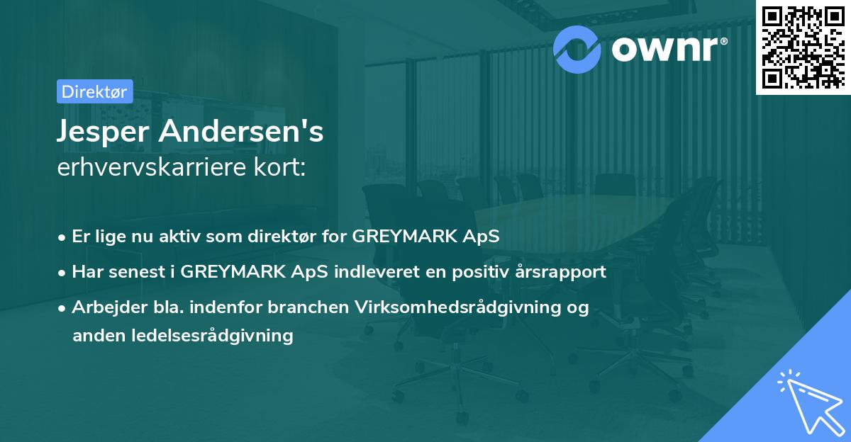 Jesper Andersen's erhvervskarriere kort