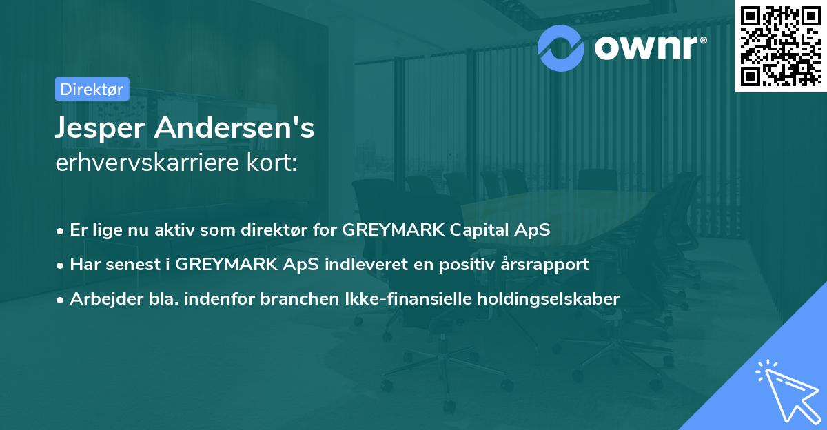 Jesper Andersen's erhvervskarriere kort