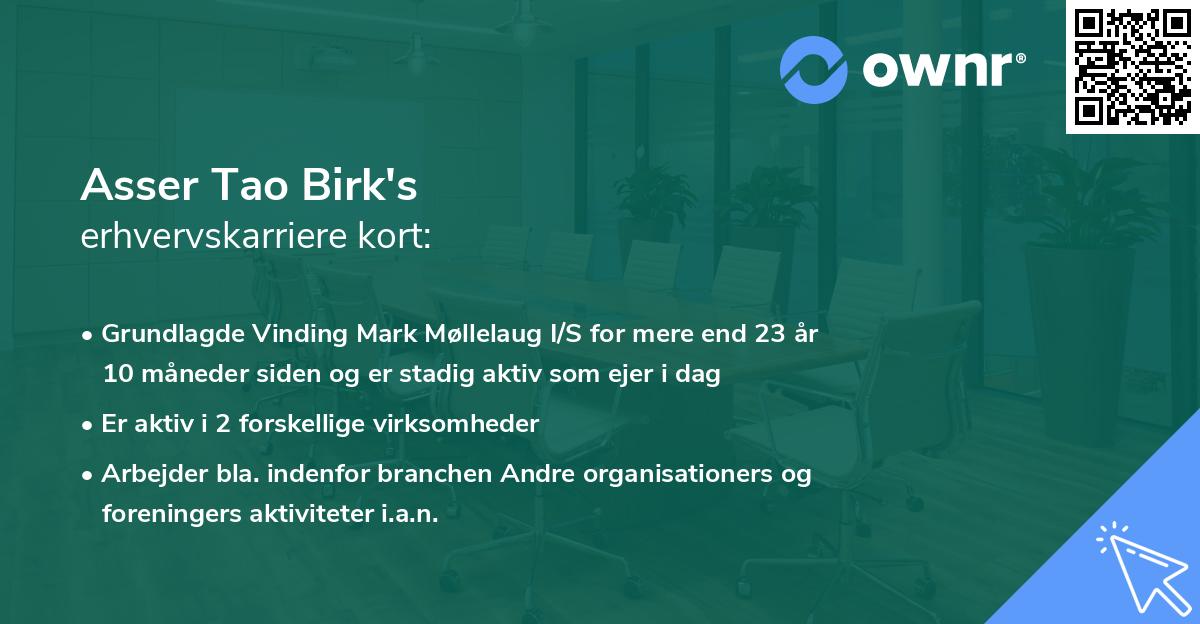 Asser Tao Birk's erhvervskarriere kort